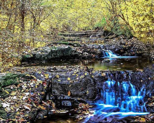 Davis Creek in the fall